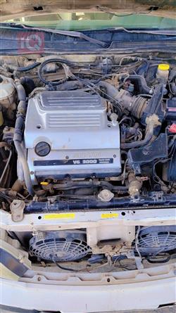 نيسان ماكسيما